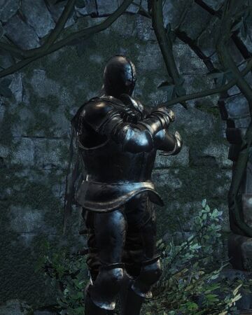 Horace The Hushed Dark Souls Wiki Fandom This is the first place you'll meet them, and if you speak to anri here you'll get a brief overview of what they and finding anri of astora in the catacombs of carthas in dark souls 3. horace the hushed dark souls wiki