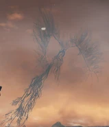 Pilgrim butterfly.jpg (99 KB)