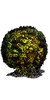 Poison Moss