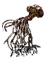 Сушеный корень