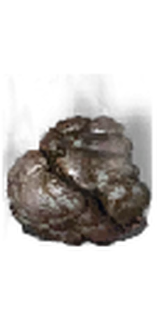 stickstoffarmen dünger Heidelbeer Dünger - Mineralischer NPK Flüssigdünger mit Stickstoff main image 0