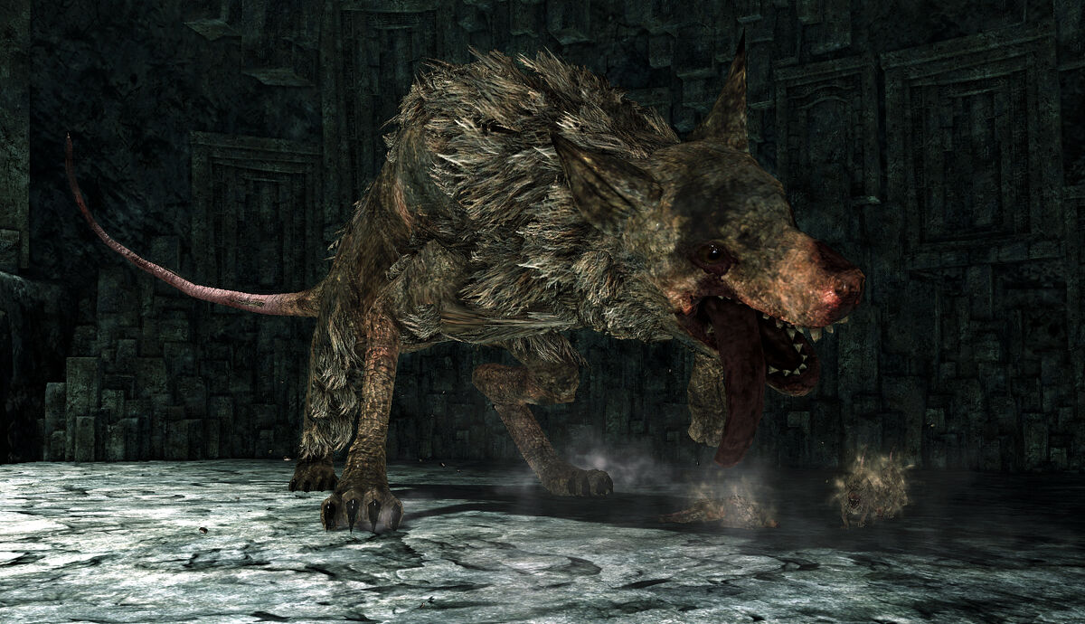 Who would be the better king: The Lord of Sunlight, or A Literal Rat from  the Actual Sewer? : r/DarkSouls2