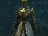 Paladin Set