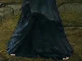 Gold-Hemmed Black Set