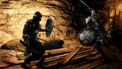 Gee maybe there's no dark souls 2 wiki. Maybe it's - #112582905 added by isradam at Dark souls 2