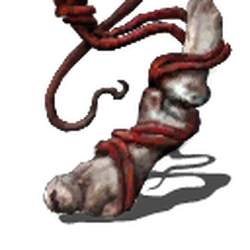 Bone Of Order Dark Souls Wiki Fandom