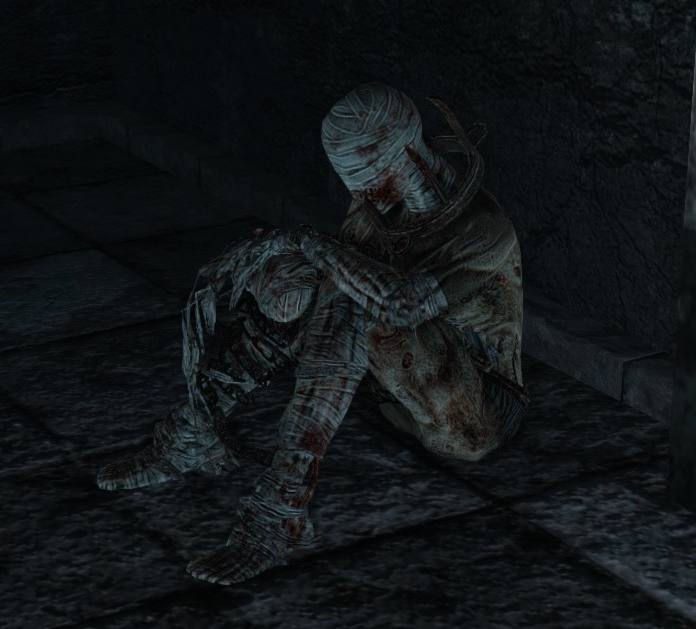 Hollow Soldier (Dark Souls II), Dark Souls Wiki