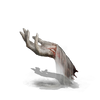 Irina's Ashes