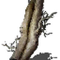 Fragrant Branch Of Yore Dark Souls Wiki Fandom
