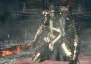 Lothric uniéndose al combate