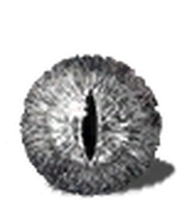 Dragon Eye Dark Souls Wiki Fandom Dragon Eye Dark Souls Wiki Fandom