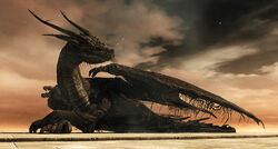 Dragon Dark Souls Wiki Fandom Dragon Dark Souls Wiki Fandom