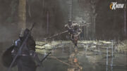 Ds3