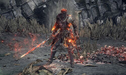 Soul Of Cinder Dark Souls Wiki Fandom