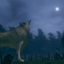 Great Grey Wolf Sif Dark Souls Wiki Fandom