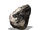 Dragon Head Stone (Dark Souls III)