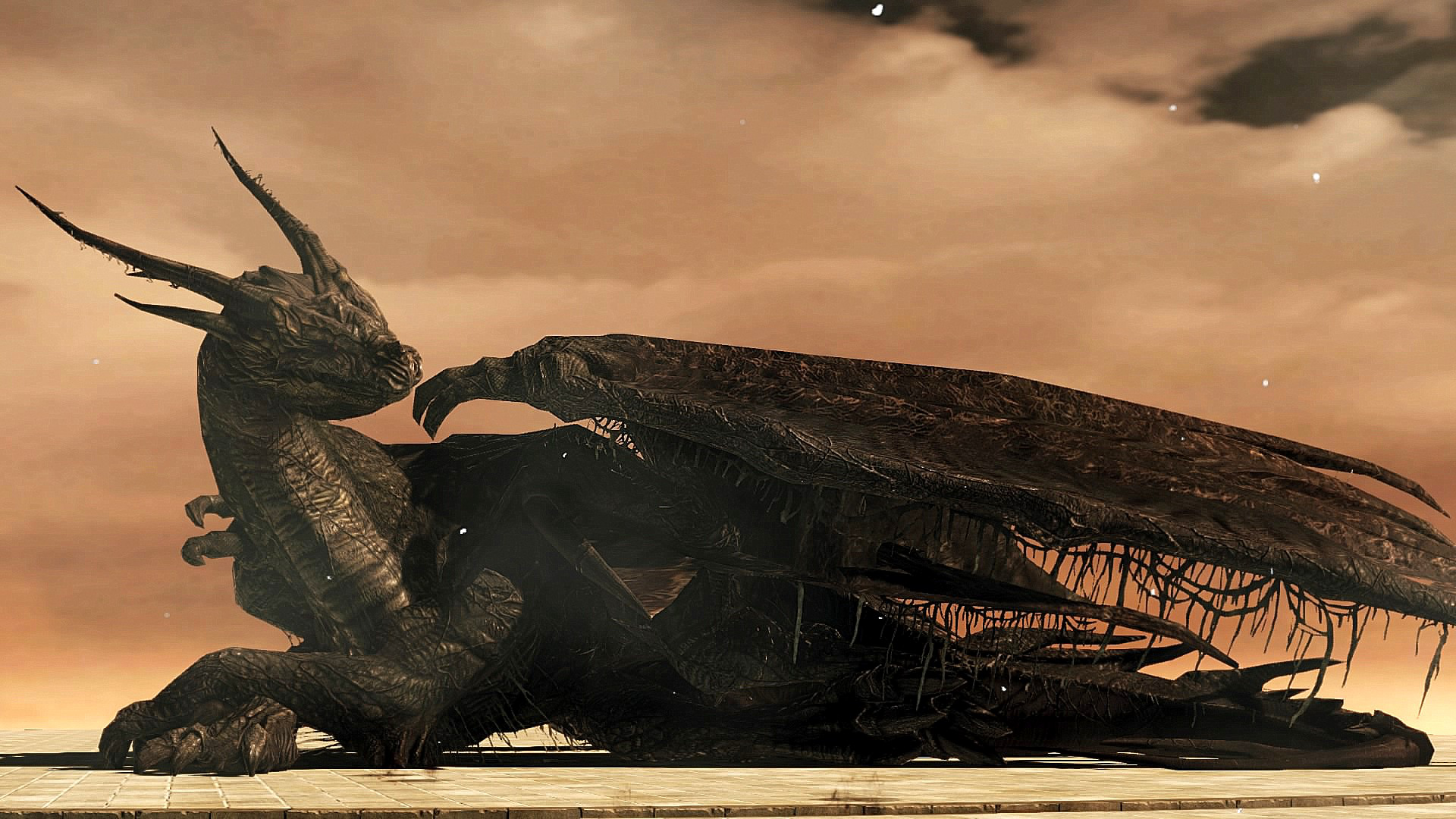 Ancient dragon Ancient dragon