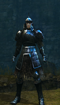 Steel Set | Dark Souls Wiki | Fandom