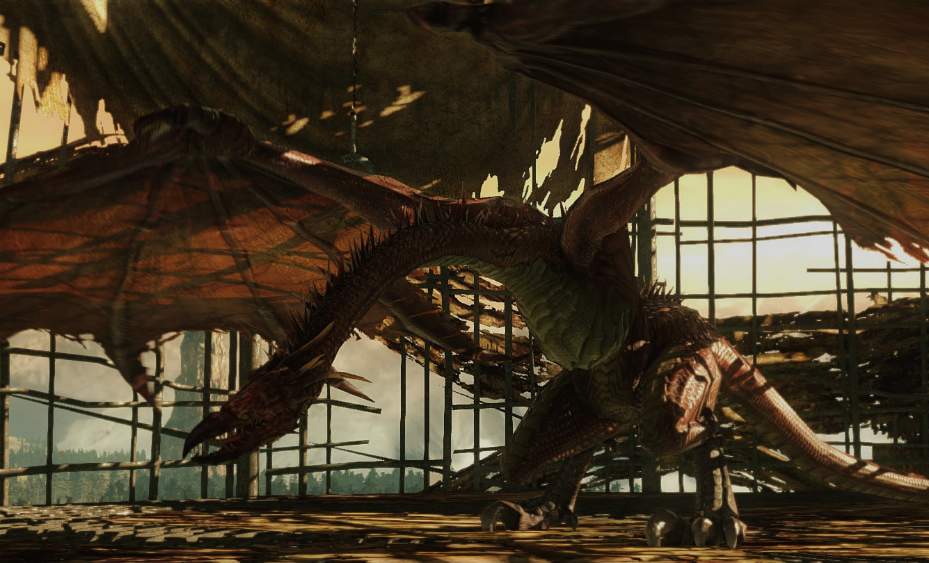 Guardian Dragon) - босс в игре Dark Souls II. 