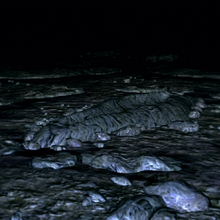 Manus Father Of The Abyss Dark Souls Wiki Fandom