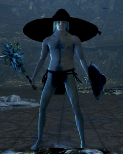 Big Hat Logan Dark Souls Wiki Fandom