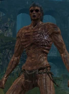 A male hollowed Chosen Undead.