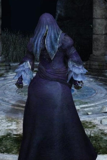 What animal fits the Black Witch Set? : r/DarkSouls2