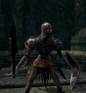 Hollow Soldier | Dark Souls Wiki | Fandom