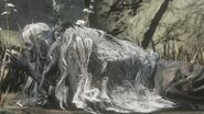 An old inhabitant of the Ringed City