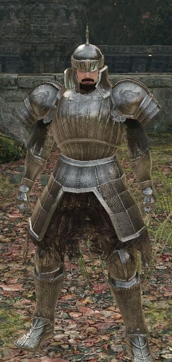 Steel Set Dark Souls Ii Dark Souls Wiki Fandom