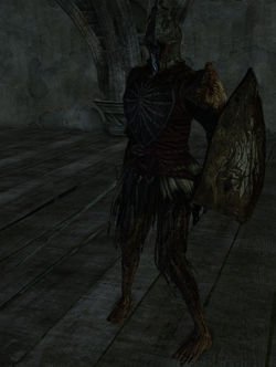 Suspicious Shadow - DarkSouls II Wiki