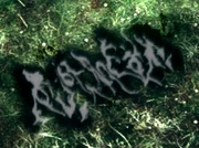 Invasion Sign of a Gravelord Servant.