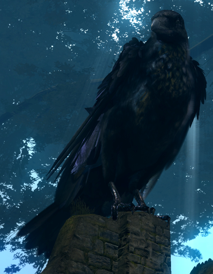 Giant Crow | Dark Souls Wiki | Fandom