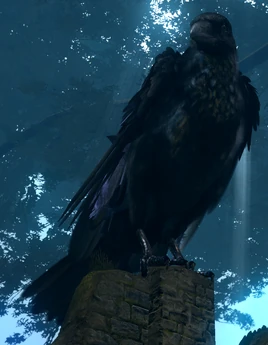 Giant crow01