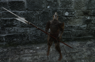 Hollow Soldier (Dark Souls II), Dark Souls Wiki