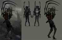 Dark souls 2 concept6.jpg (264 kB)