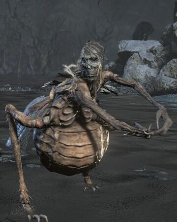 White Faced Locust Dark Souls Wiki Fandom White Faced Locust Dark Souls Wiki Fandom
