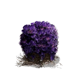 Purple Moss Clump (DSIII)