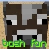 bash fan's previous Minecraft avatar.