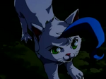 Felicia (Cat Form) (OVA)