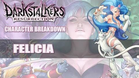 DSR Felicia Character Breakdown