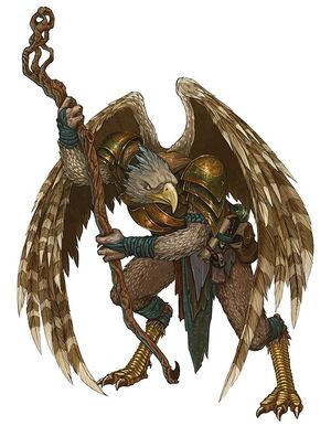 Aarakocra Sorcerer