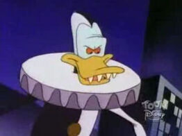 Paddywhack2.jpg