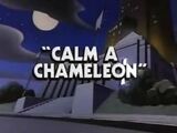Calm a Chameleon