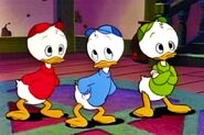 The boys in the original DuckTales series.