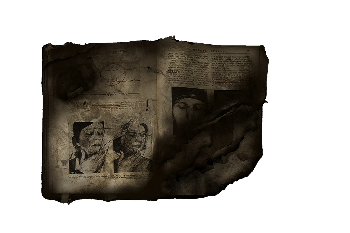 Burned Book Darkwood Wiki Fandom