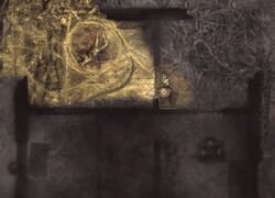 Circleevent.jpg (363 KB) Remains of strange events at dawn