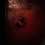 Night Events Darkwood Wiki Fandom Pick up the shiny sparks to get a random evolution stone.