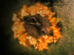 Circleevent2.jpg