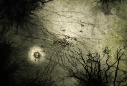 Mushroom Man Markings.png (1.92 MB) Somewhere in Darkwood...
